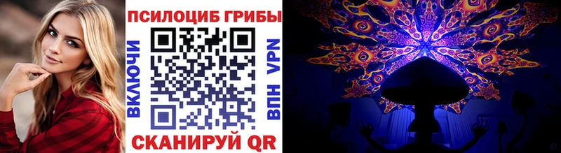 Галлюциногенные грибы Cubensis Брянск