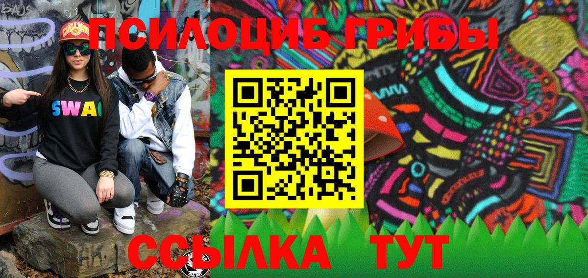 Псилоцибиновые грибы GOLDEN TEACHER  Брянск 