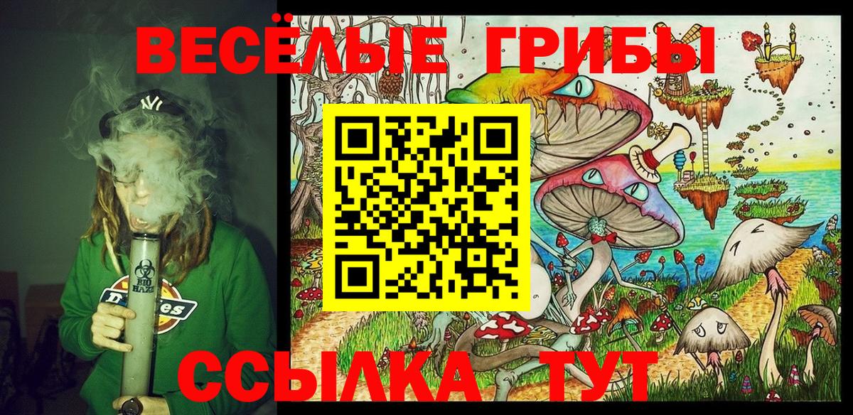 Галлюциногенные грибы MAGIC MUSHROOMS  Вход с VPN  Брянск 