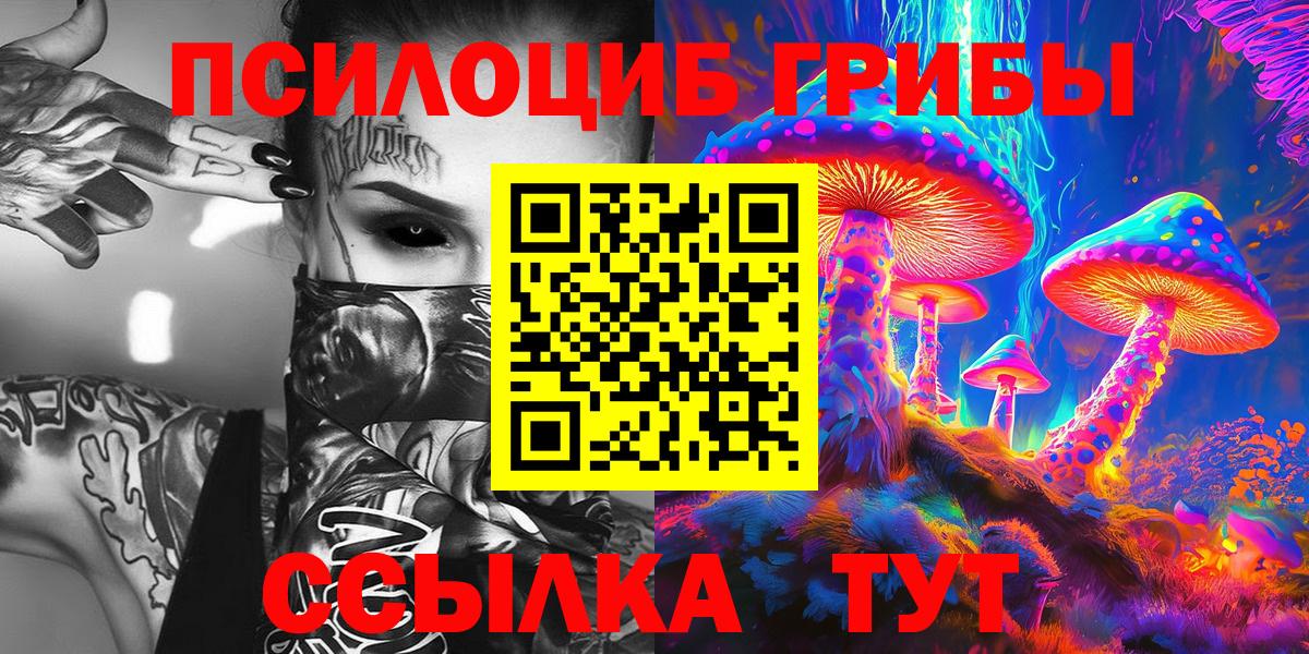 Галлюциногенные грибы прущие грибы Брянск