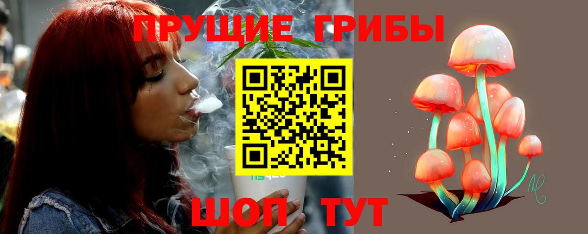 Галлюциногенные грибы прущие грибы Брянск